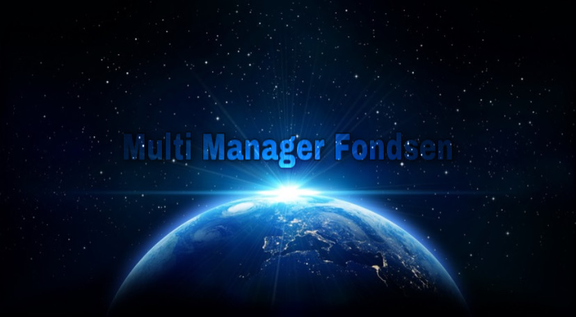 Multi Manager Fondsen – Wie heeft ze nodig?