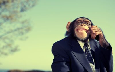 Kan een aap nu echt beter beleggen dan een beleggingsexpert?