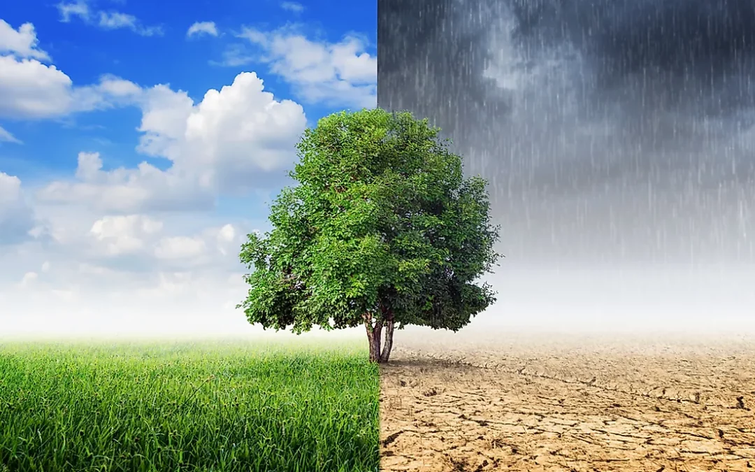 Video: de overeenkomst tussen het weer en beleggen